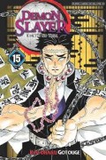 Demon Slayer: Kimetsu No Yaiba 15