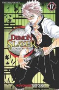 Demon Slayer: Kimetsu No Yaiba 17