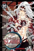 Demon Slayer: Kimetsu No Yaiba 22